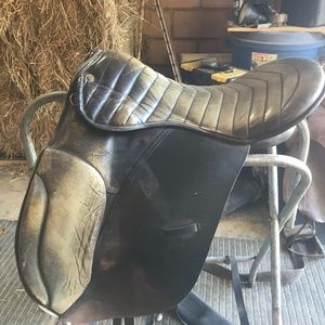 Pleasure/Endurance saddle